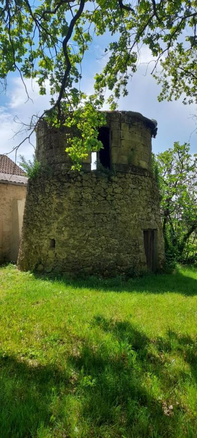 Вилла Moulin De Bigorre Saint-Genes-de-Castillon Экстерьер фото
