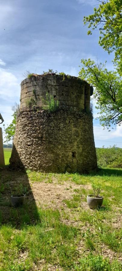 Вилла Moulin De Bigorre Saint-Genes-de-Castillon Экстерьер фото